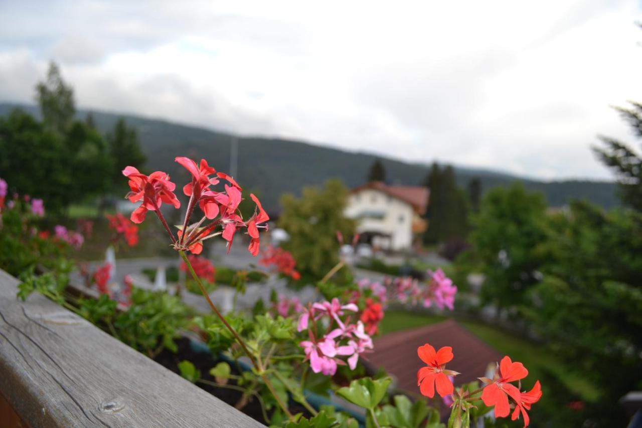 Gasthof Zum Gruenen Baum Verano Екстер'єр фото