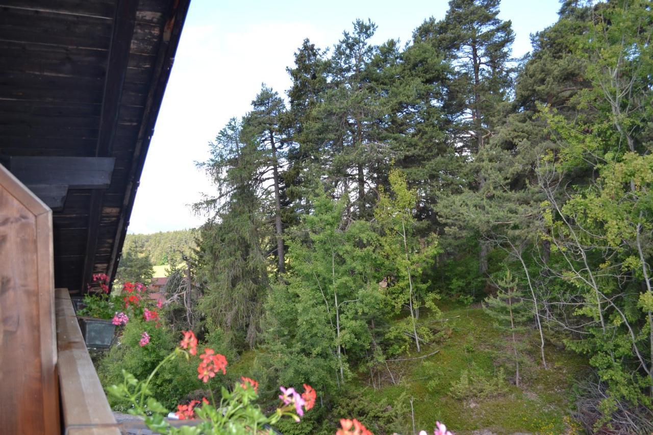 Gasthof Zum Gruenen Baum Verano Екстер'єр фото
