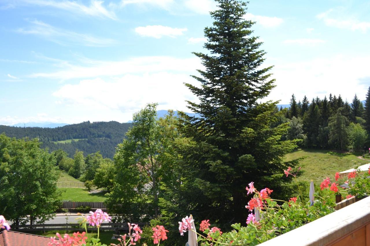 Gasthof Zum Gruenen Baum Verano Екстер'єр фото